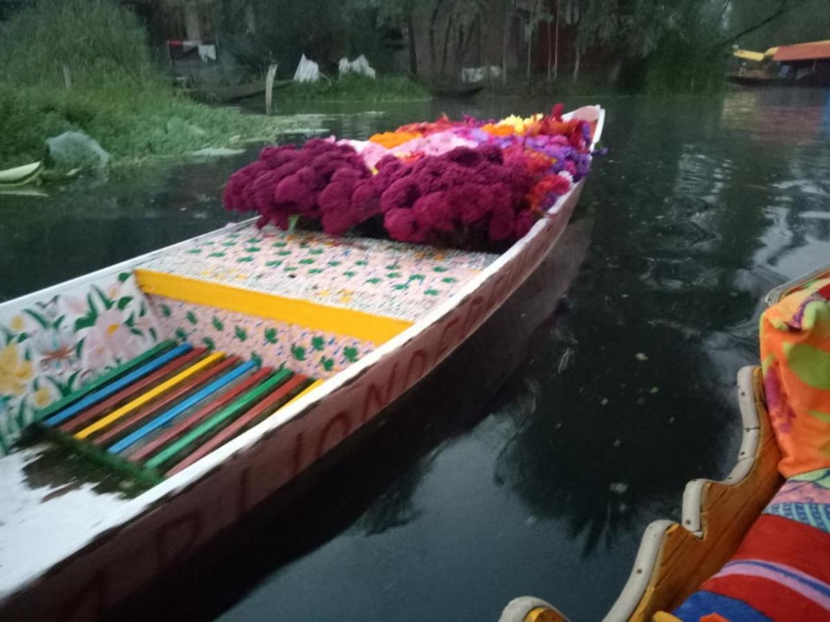 Umbrella Group Of House Boat Hotel Srīnagar Buitenkant foto